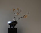Medusa Vase, Big - Coffee