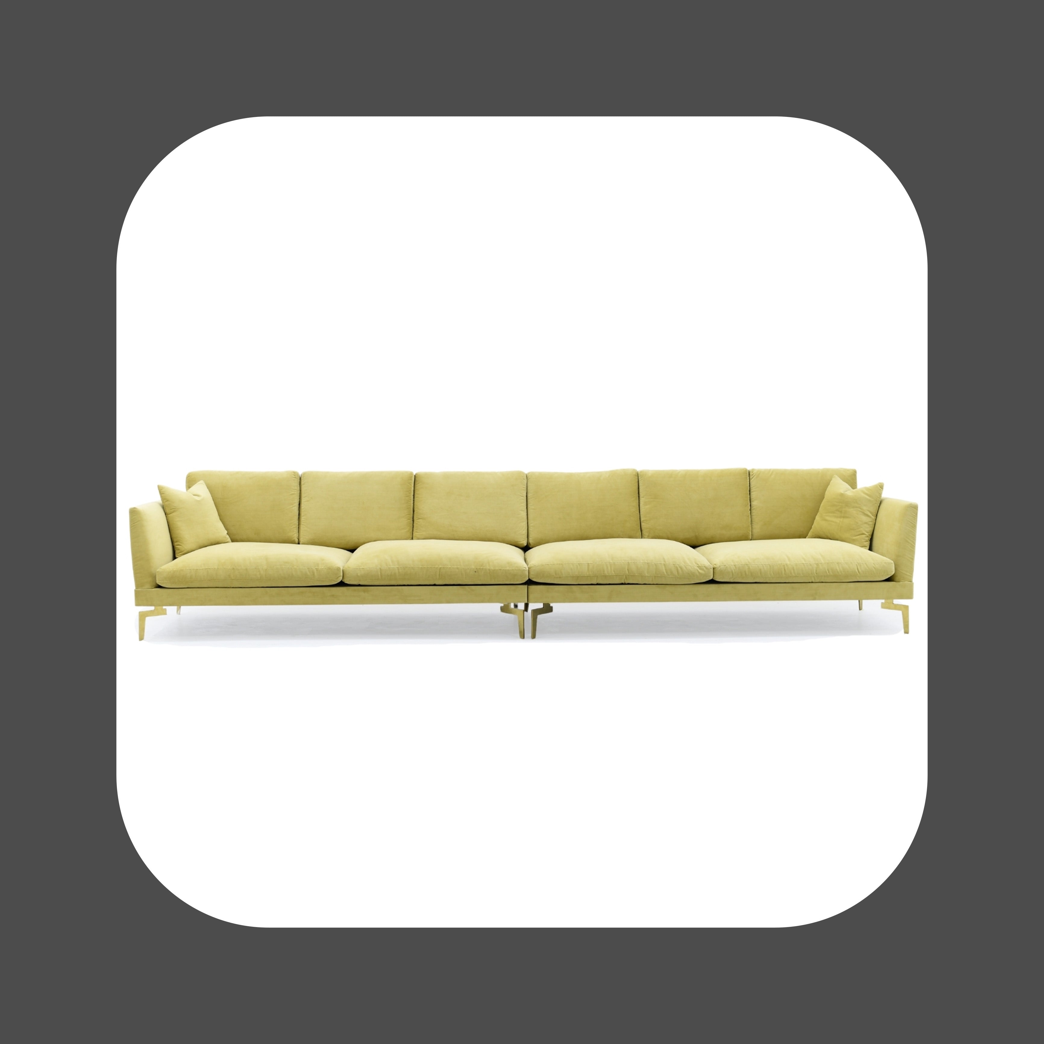 AM-01-MUSTARD YELLOW