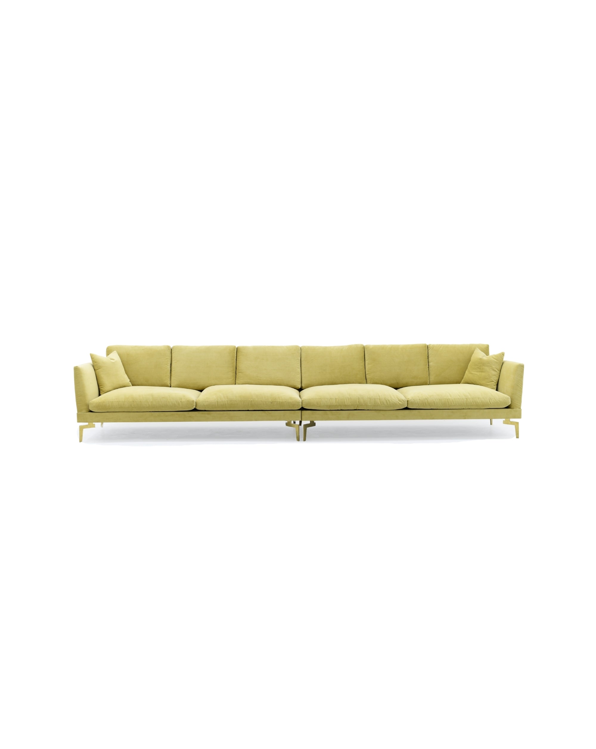 AM-01-MUSTARD YELLOW