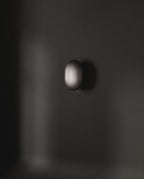 Clam Wall Lamp - Bronze